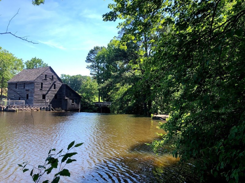 Umstead State Park trails